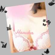 はるか 出勤中！ Barneys(バーニーズ)