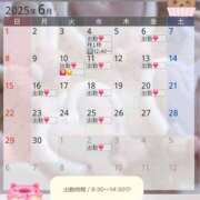 ヒメ日記 2025/05/28 22:00 投稿 まい 脱がされたい人妻 越谷店