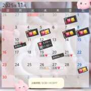 ヒメ日記 2025/11/12 08:00 投稿 まい 脱がされたい人妻 越谷店