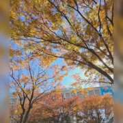 ヒメ日記 2025/11/17 22:00 投稿 まい 脱がされたい人妻 越谷店