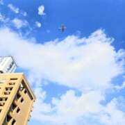 ヒメ日記 2026/01/30 08:00 投稿 まい 脱がされたい人妻 越谷店