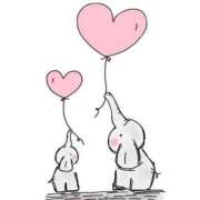 ヒメ日記 2025/05/31 09:48 投稿 ロミヒ キャンディ(鹿児島)