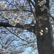 ヒメ日記 2025/04/05 10:49 投稿 桐原ゆりな ママとお姉さん鶯谷