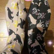 ヒメ日記 2025/11/22 20:48 投稿 桐原ゆりな ママとお姉さん鶯谷