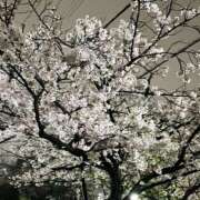 ヒメ日記 2026/04/01 21:31 投稿 桐原ゆりな ママとお姉さん鶯谷