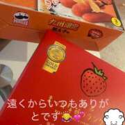 ヒメ日記 2025/04/04 15:45 投稿 れいな ひめドットらぶ