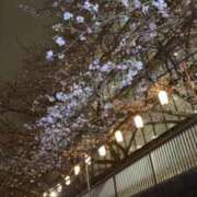 ヒメ日記 2026/04/01 12:15 投稿 れいな ひめドットらぶ