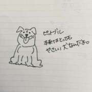 ヒメ日記 2025/09/29 22:01 投稿 マコト スチュワーデス