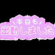 ヒメ日記 2023/11/19 08:41 投稿 すみれ ニューヨークニューヨーク