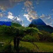 ヒメ日記 2024/12/26 17:19 投稿 すみれ ニューヨークニューヨーク