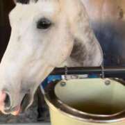 ヒメ日記 2025/01/19 14:45 投稿 すみれ ニューヨークニューヨーク