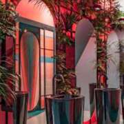 ヒメ日記 2025/01/21 14:07 投稿 すみれ ニューヨークニューヨーク