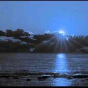 ヒメ日記 2025/02/25 09:50 投稿 すみれ ニューヨークニューヨーク