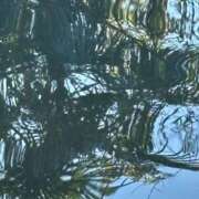 ヒメ日記 2025/03/14 14:23 投稿 すみれ ニューヨークニューヨーク