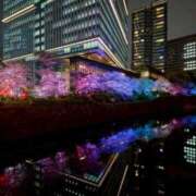 ヒメ日記 2025/04/02 14:26 投稿 すみれ ニューヨークニューヨーク