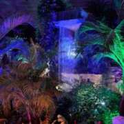 ヒメ日記 2025/05/07 16:16 投稿 すみれ ニューヨークニューヨーク