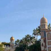 ヒメ日記 2025/05/08 09:34 投稿 すみれ ニューヨークニューヨーク