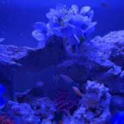 ヒメ日記 2025/05/14 09:25 投稿 すみれ ニューヨークニューヨーク