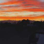 ヒメ日記 2025/05/29 15:02 投稿 すみれ ニューヨークニューヨーク