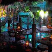 ヒメ日記 2025/06/18 15:11 投稿 すみれ ニューヨークニューヨーク