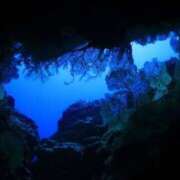 ヒメ日記 2025/07/08 14:49 投稿 すみれ ニューヨークニューヨーク