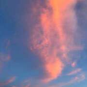 ヒメ日記 2025/07/28 14:51 投稿 すみれ ニューヨークニューヨーク