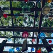 ヒメ日記 2025/08/11 15:21 投稿 すみれ ニューヨークニューヨーク