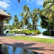 ヒメ日記 2025/08/24 14:51 投稿 すみれ ニューヨークニューヨーク