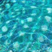 ヒメ日記 2025/09/23 15:28 投稿 すみれ ニューヨークニューヨーク