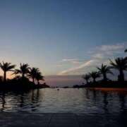 ヒメ日記 2025/10/08 15:01 投稿 すみれ ニューヨークニューヨーク