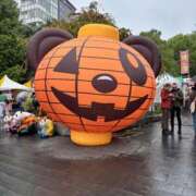 ヒメ日記 2025/10/26 15:27 投稿 すみれ ニューヨークニューヨーク