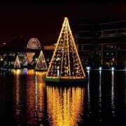 すみれ 🙏✨ ニューヨークニューヨーク