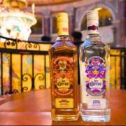 ヒメ日記 2026/02/19 14:16 投稿 すみれ ニューヨークニューヨーク