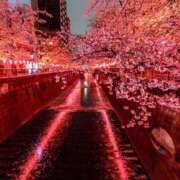 ヒメ日記 2026/04/19 14:06 投稿 すみれ ニューヨークニューヨーク