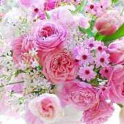 ヒメ日記 2025/08/01 12:35 投稿 まひろ アイムシェイク