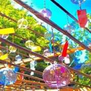 ヒメ日記 2025/08/21 14:13 投稿 まひろ アイムシェイク