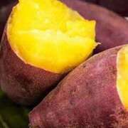 ヒメ日記 2025/10/01 22:35 投稿 まひろ アイムシェイク