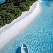 ヒメ日記 2025/11/23 23:35 投稿 まひろ アイムシェイク