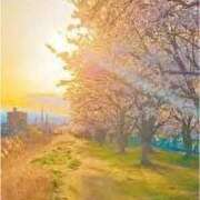 ヒメ日記 2026/04/01 15:33 投稿 まひろ アイムシェイク