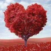 ヒメ日記 2025/10/13 21:10 投稿 みゆな アイムシェイク