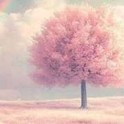 ヒメ日記 2026/02/06 19:33 投稿 みゆな アイムシェイク