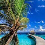 ヒメ日記 2025/08/05 00:35 投稿 あのん アイムシェイク