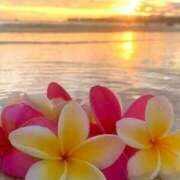 ヒメ日記 2025/08/08 11:45 投稿 あのん アイムシェイク