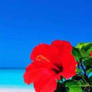 ヒメ日記 2026/03/25 20:13 投稿 あのん アイムシェイク