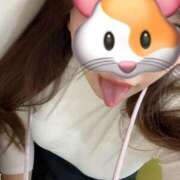 ヒメ日記 2024/12/14 00:05 投稿 アヤカ 性の極み 技の伝道師 ver. 匠