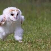 ヒメ日記 2025/04/05 15:36 投稿 アヤカ 性の極み 技の伝道師 ver. 匠