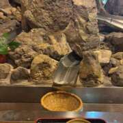 ヒメ日記 2025/08/15 05:25 投稿 アヤカ 性の極み 技の伝道師 ver. 匠