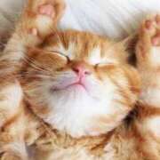 ヒメ日記 2025/07/16 21:34 投稿 ここあ アイムシェイク