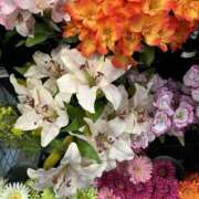 ヒメ日記 2025/07/21 05:08 投稿 ここあ アイムシェイク