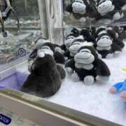 ヒメ日記 2025/07/23 21:15 投稿 ここあ アイムシェイク